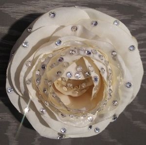 Meet your Posher, Cassandra